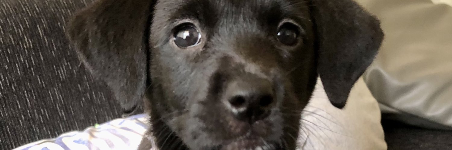 Kimyenk's profile banner image