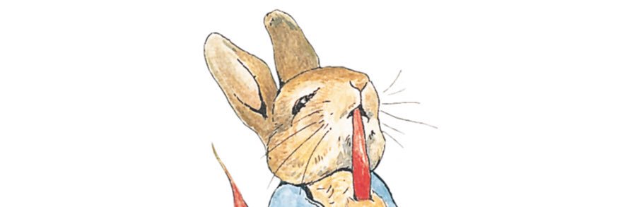 Peter Rabbit banner