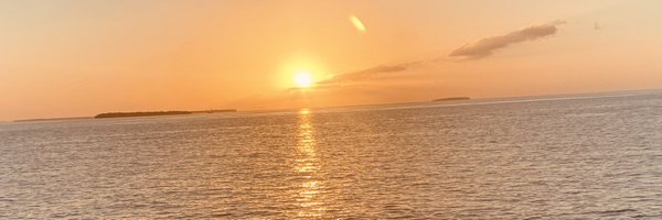 CryptoMiami305 Profile Banner