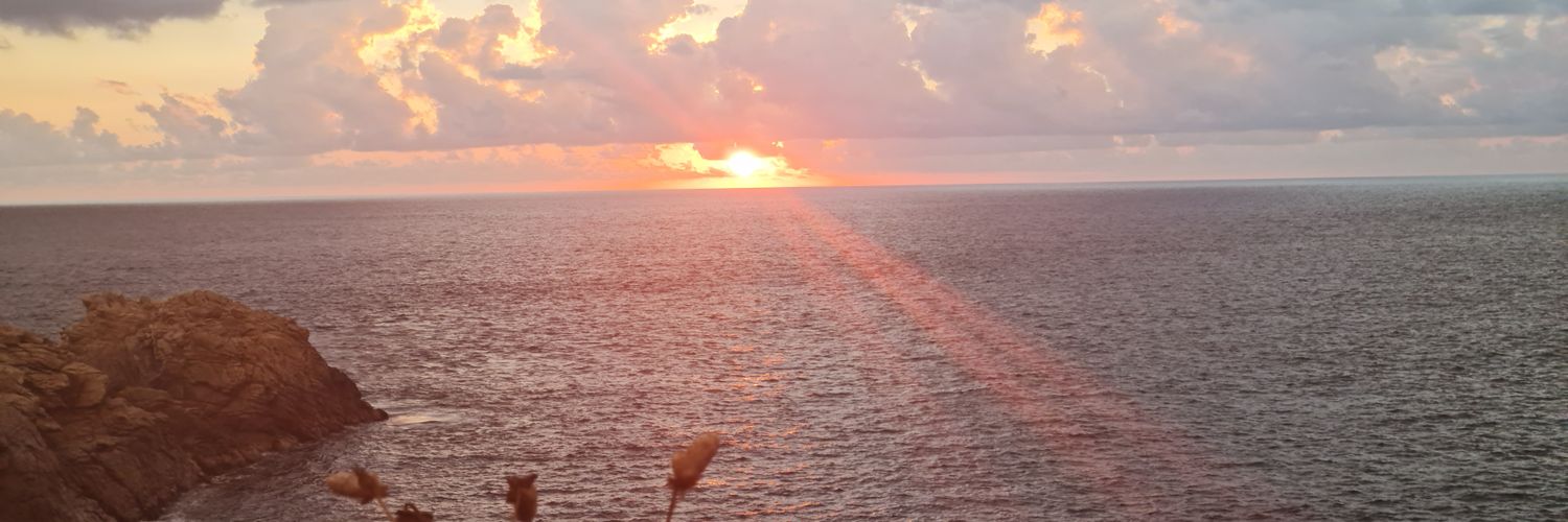 marisolmss's profile banner image