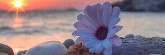 madihamo2's profile banner image