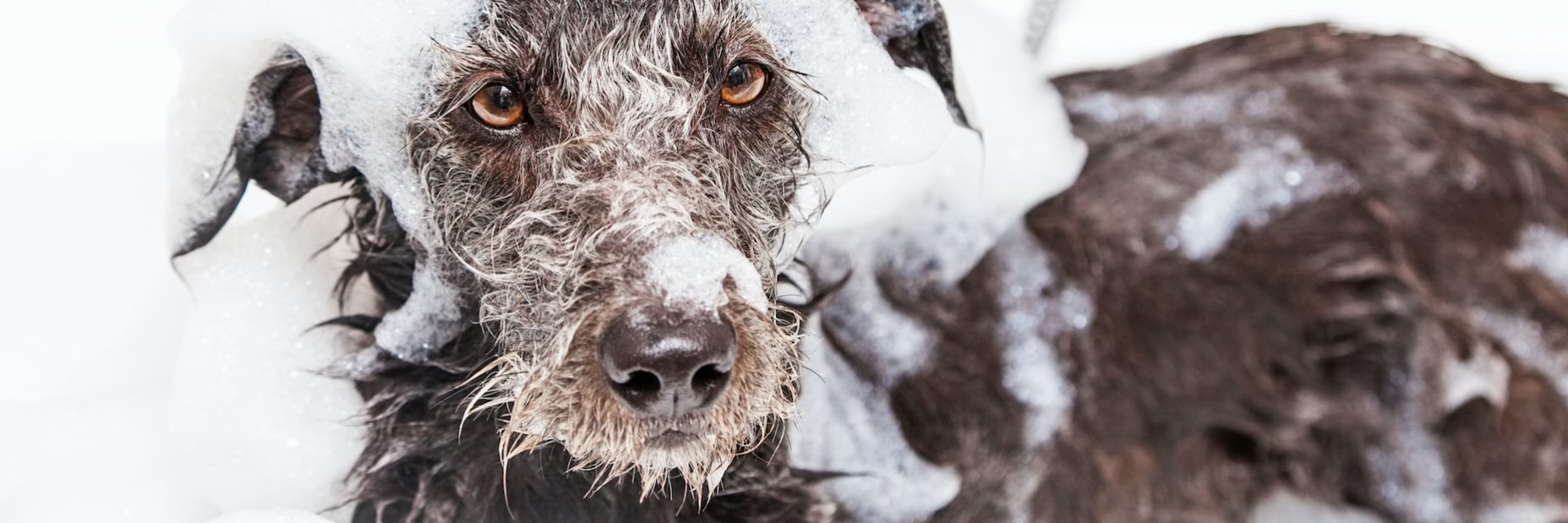 Cliverton Insurance banner