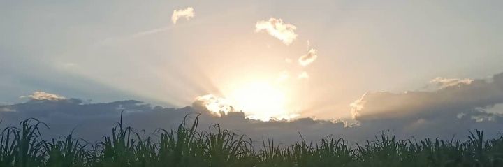 tahiperezper's profile banner image