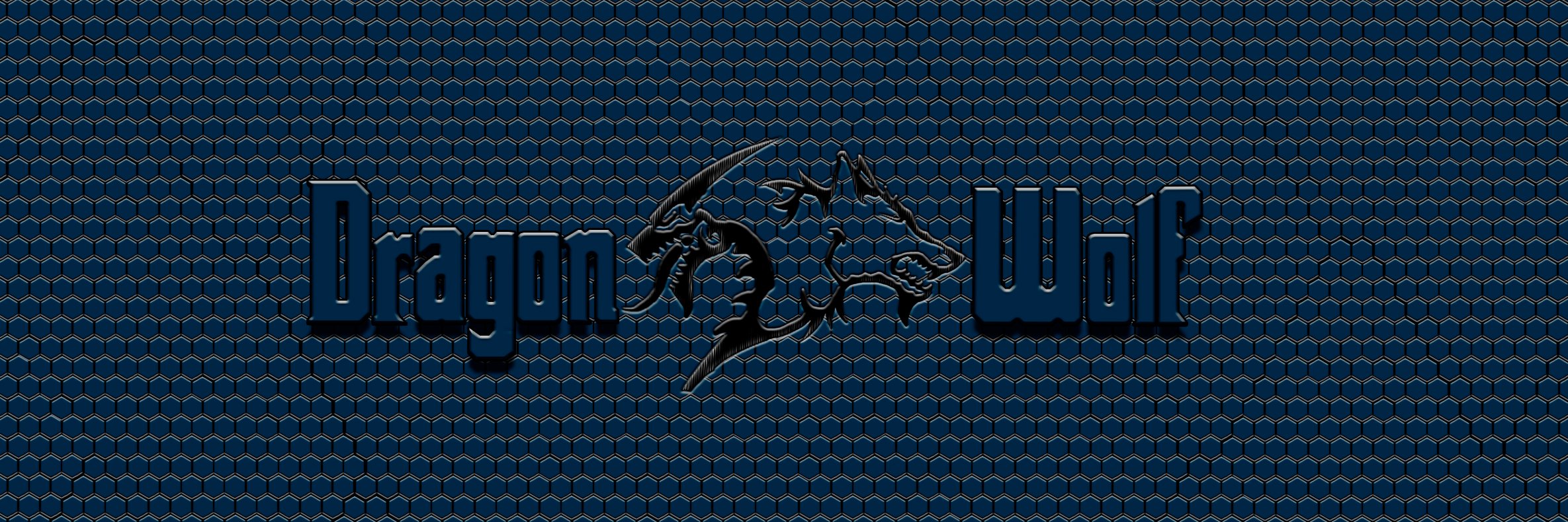 DragonWolf4Real's profile banner image