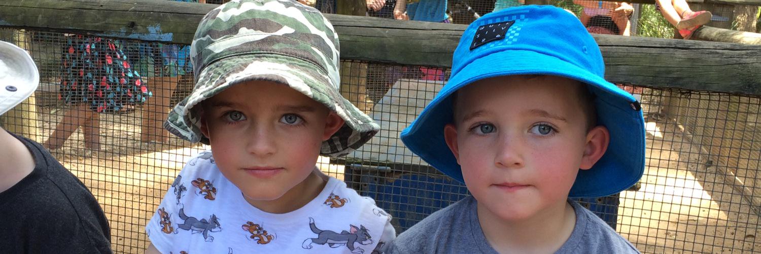 Allison Davis banner