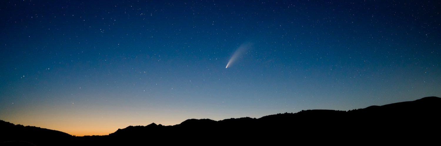 Matthew McNulty banner