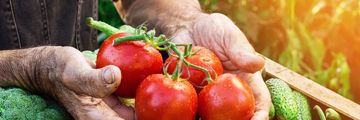 FoodSecurityTEP banner