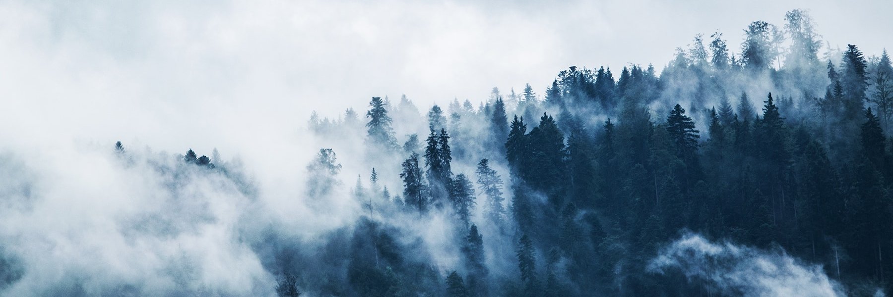 yhSMCK's profile banner image