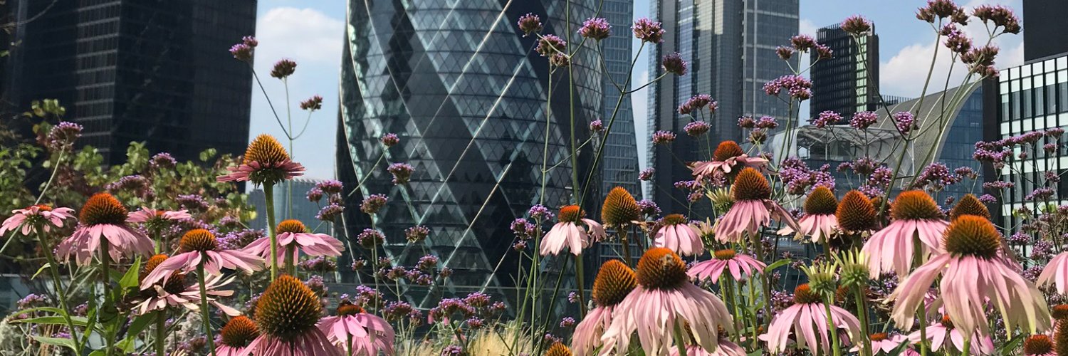 Hyland Edgar Driver banner