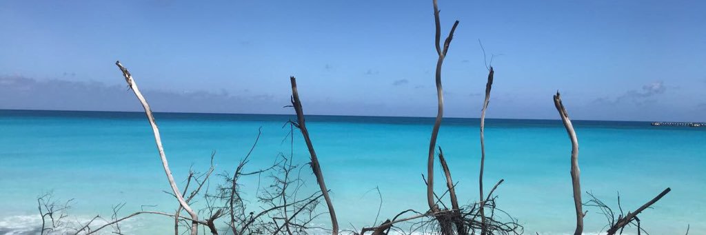 kels🌻 banner