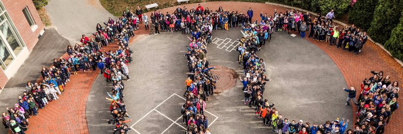 CummingsSchool's profile banner image