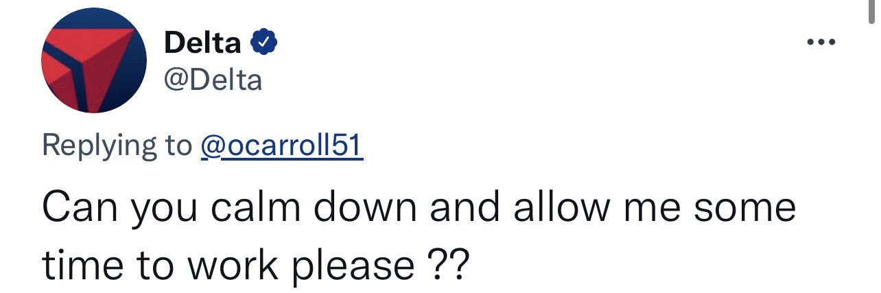 SKINNY + VIBRANT 🐝✭ banner