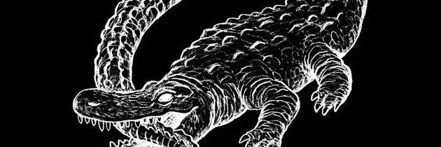 mattweeden's profile banner image