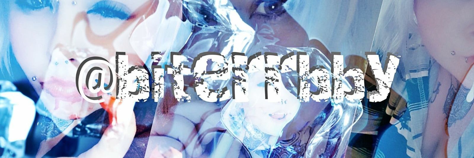 RT PROMO BITCH banner