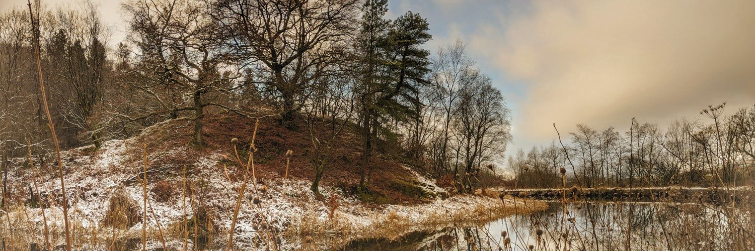 Chris Meechan banner