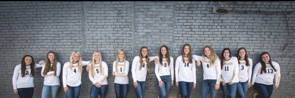 vballvikings Profile Banner