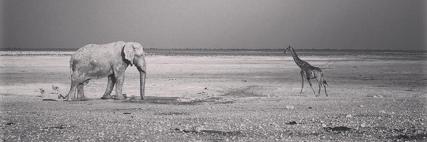 a_breant's profile banner image