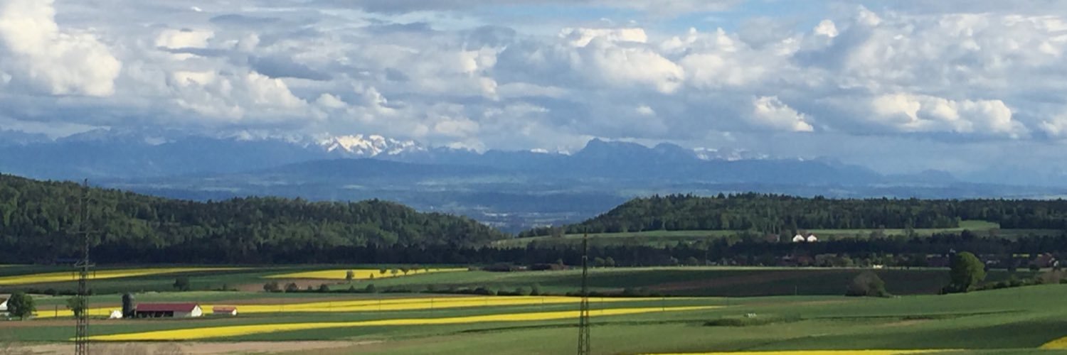 Anne Challandes banner