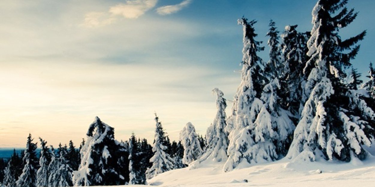 freestylevideo's profile banner image