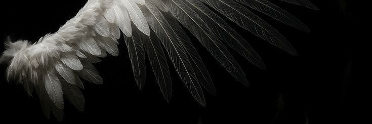 Immaiture's profile banner image