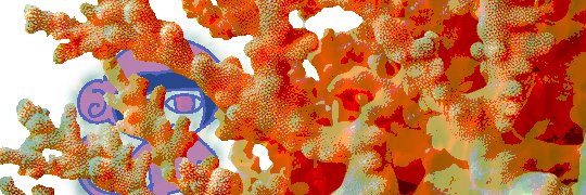 _tocsam's profile banner image