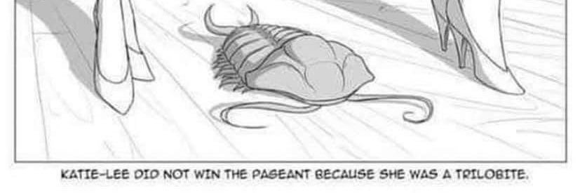 AntOrt57's profile banner image