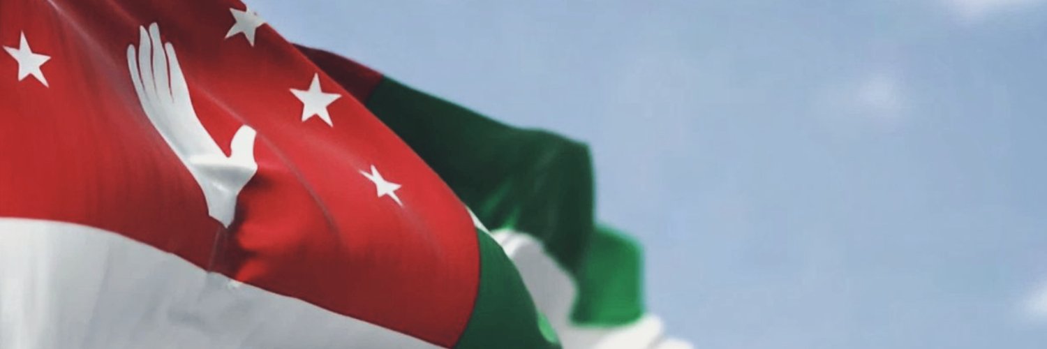 Abkhaz World's banner