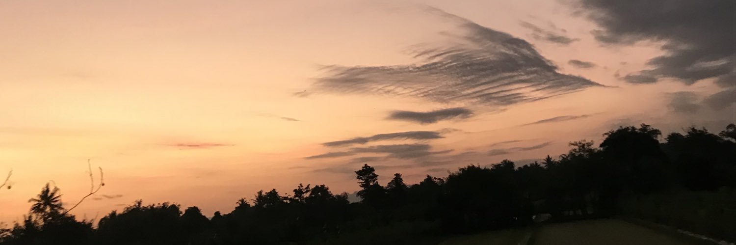 dvnftm_'s profile banner image