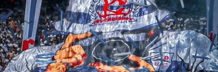 Sebastián Vergara H. banner