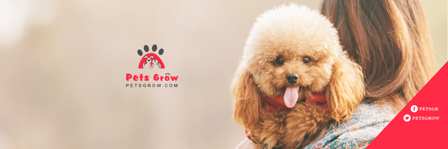 petsgrow's profile banner image
