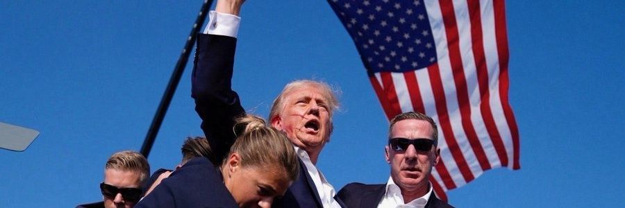 Bradley Scheidler banner