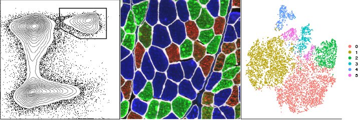 Armando Villalta banner