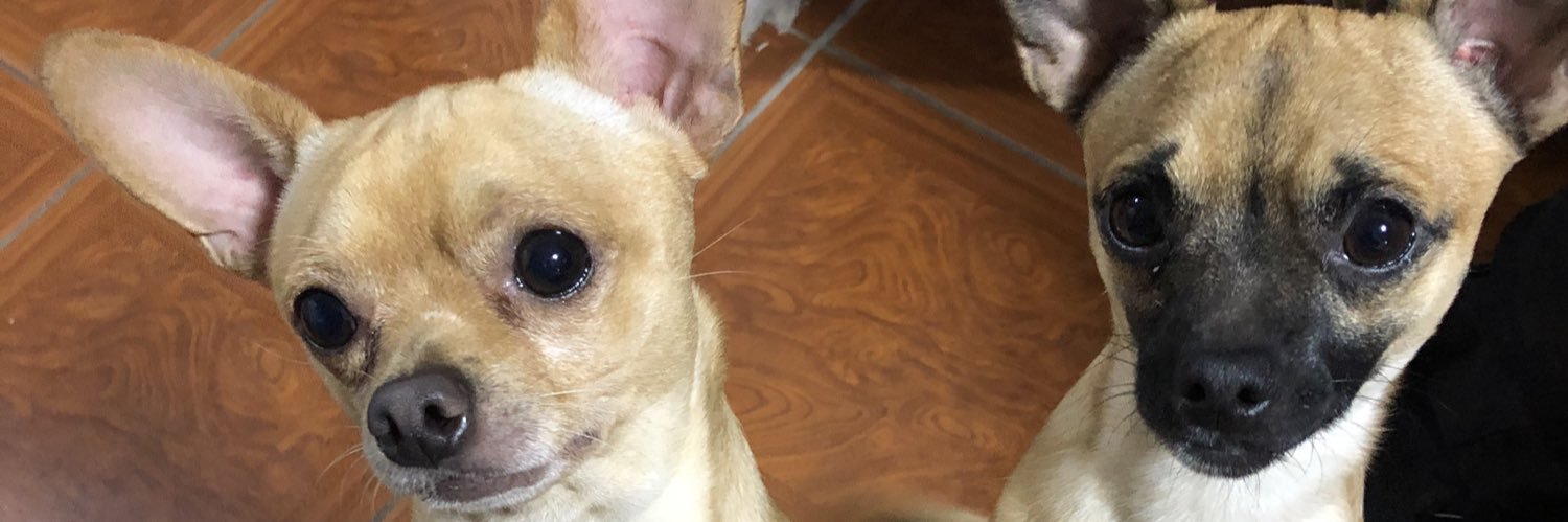 mylittta's profile banner image