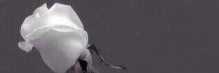 Emo35505620's profile banner image
