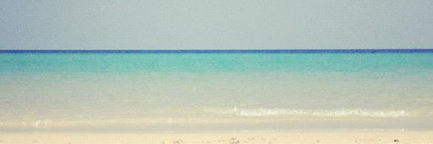 abaulina37's profile banner image