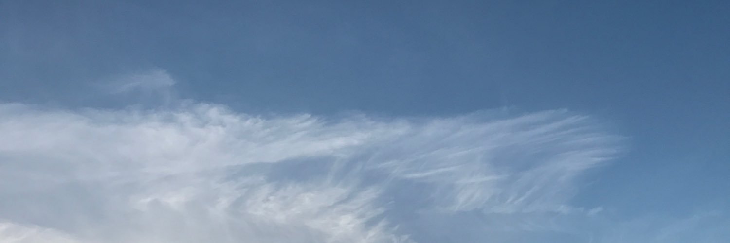 Dr Matilda Arvidsson banner