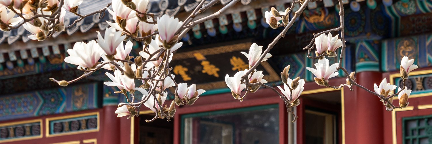 China Daily (@ChinaDaily) / Posts / X