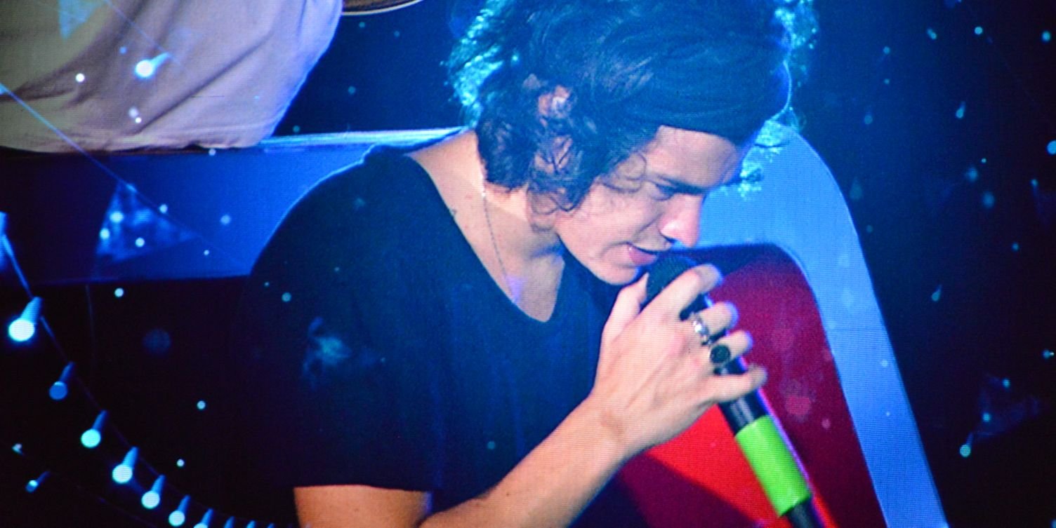 nhoastyles's profile banner image