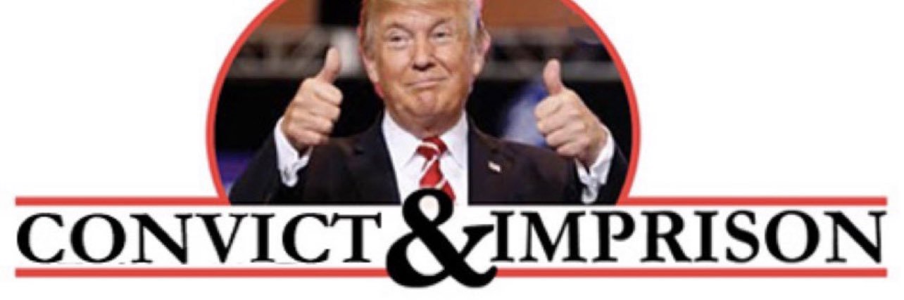 Im fighting for democracy banner