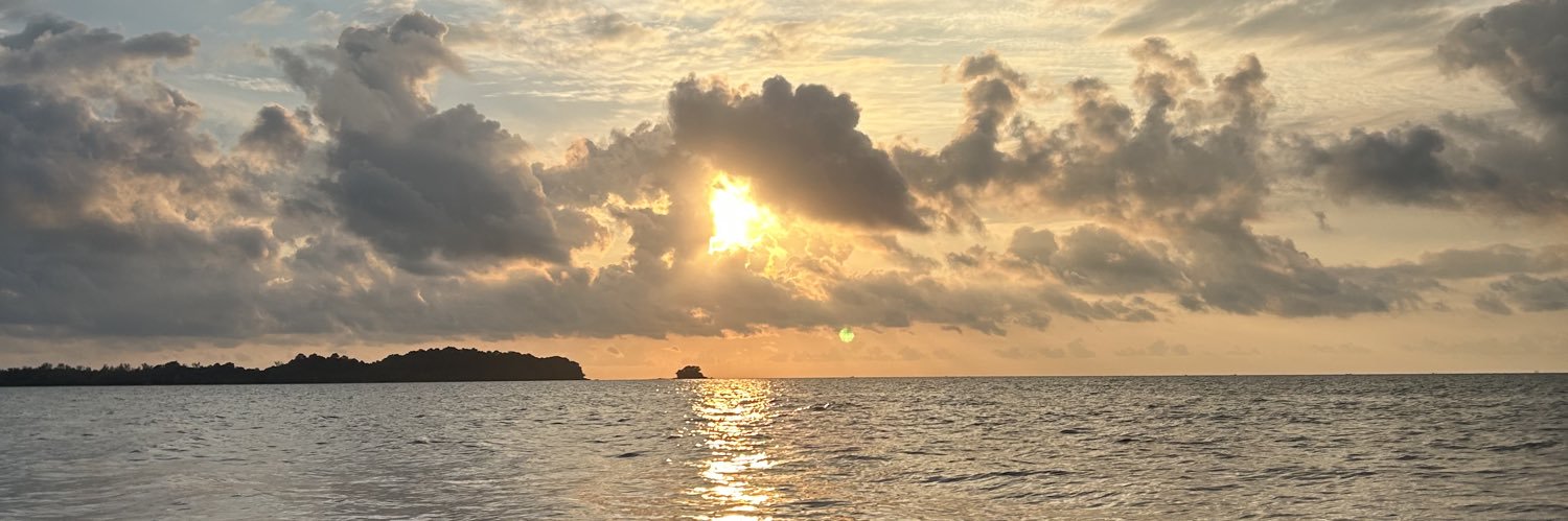 nblomarr's profile banner image