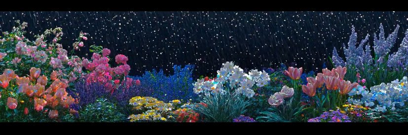 Bint E Ali 🇵🇰🇵🇸 banner