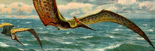 GrantHurlbert Profile Banner