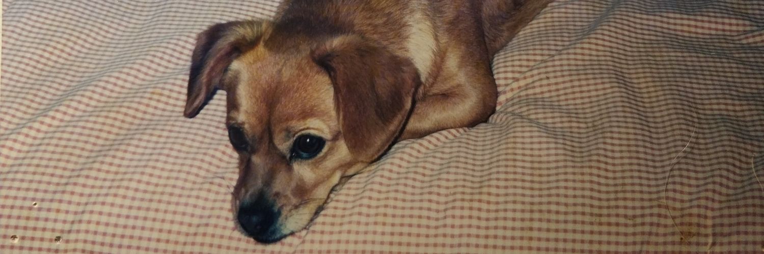 Ariaadna96's profile banner image