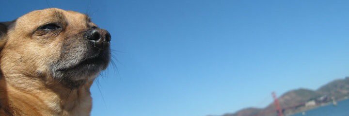 xsgreene's profile banner image