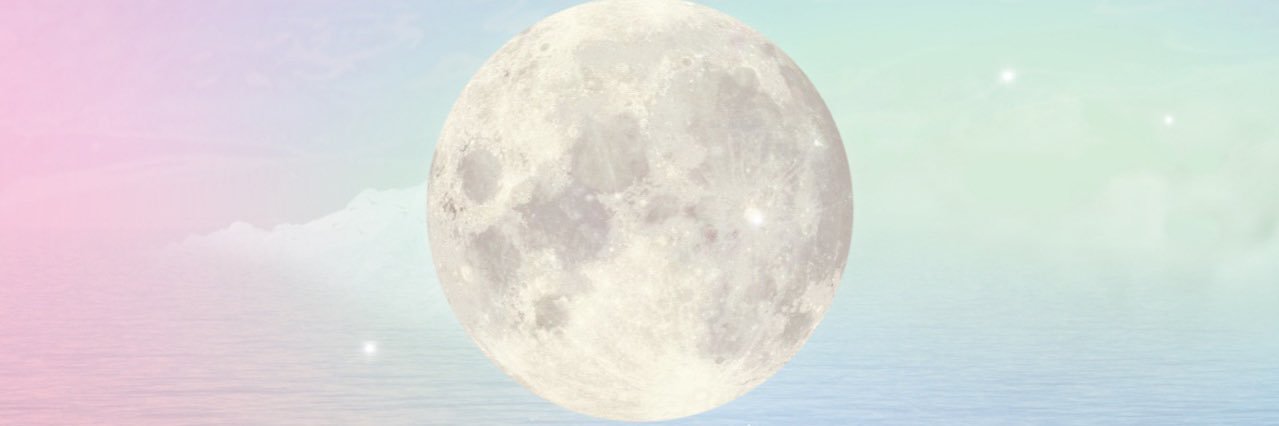 stephsariles's profile banner image