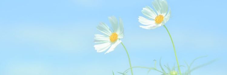 🫧 quilline🎐 banner
