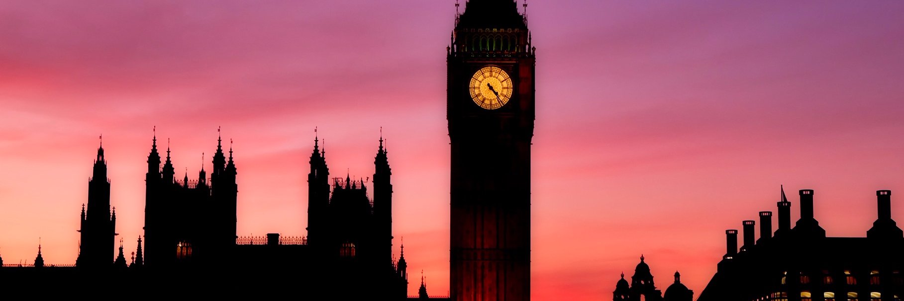 Standards Committee banner