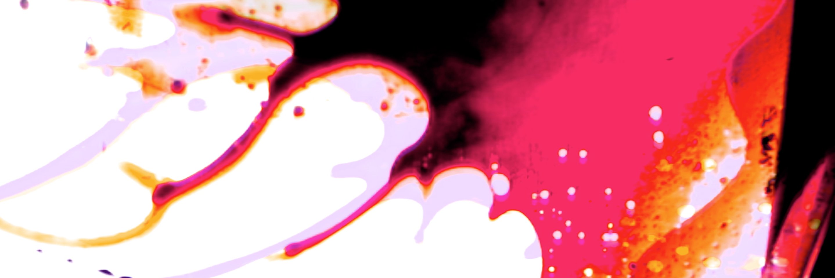 Dewb's profile banner image