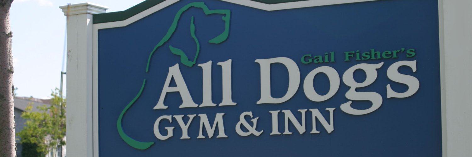 AllDogsGym's profile banner image