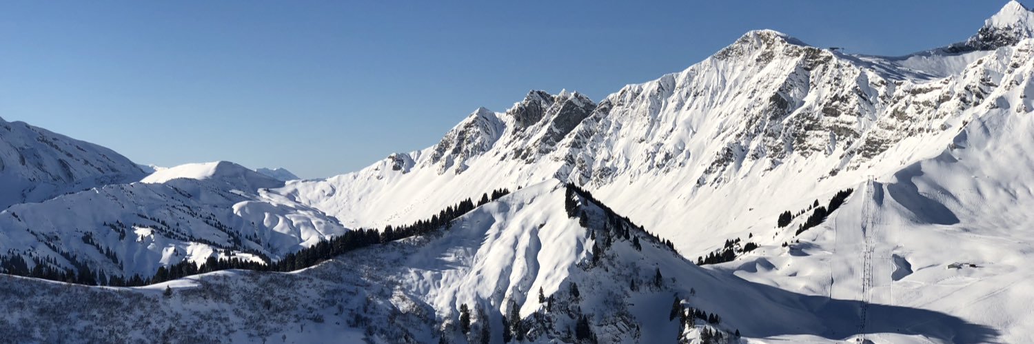 Steve Lucas ⛷ banner